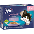 Felix Fantastic Junior kapsičky pre mačky výber v želé, 12× 85 g