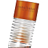 Bruno Banani Absolute toaletná voda pre mužov 50 ml Tester