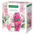 Palmolive Alluring Love Soft Rose & Peony sprchový gél 500 ml + Happy roll-on antiperspirant 50 ml + masážna pomôcka Gua sha na tvár, kozmetická sada pre ženy
