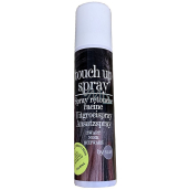 Touch Up Spray Sprej na zakrytie šedín Čierna 75 ml