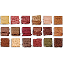 Makeup Revolution Wild Animal paletka očných tieňov Courage 18 x 1 g