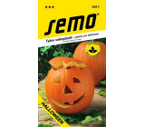 Semo Tekvica Gigante Halloween 2 g