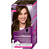 Schwarzkopf Perfect Mousse farba na vlasy 6-00 (600) svetlohnedý