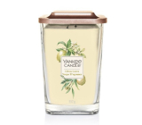 Yankee Candle Citrus Grove - Citrusový háj sójová vonná sviečka Elevation veľká sklo 2 knôty 552 g