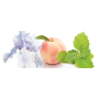 Bvlgari Splendida Patchouli Tentation parfumovaná voda pre ženy 30 ml
