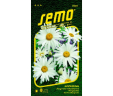 Semo Margarétka biela Shasta Daisy 0,8 g