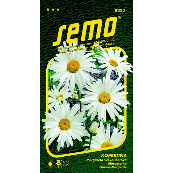 Semo Margarétka biela Shasta Daisy 0,8 g