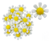 Kvety z filcu s Lepik bielej dekorácie 3,5 cm v krabičke 18 kusov