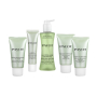 Payot Pate Gris Special 5 vysušujúce a čistiacich gél 15 ml