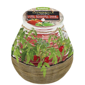 Bolsius Aromatický repelent Citronella v sklenenom dizajne Vonná sviečka Herbs cherry tomatoes 90 x 94 mm