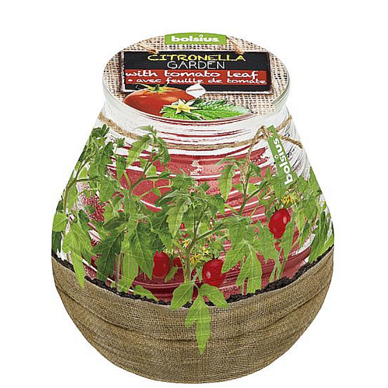Bolsius Aromatický repelent Citronella v sklenenom dizajne Vonná sviečka Herbs cherry tomatoes 90 x 94 mm
