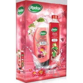 Radox Eastern Spirit sprchový gél 250 ml + kúpeľová pena 500 ml, kozmetická sada
