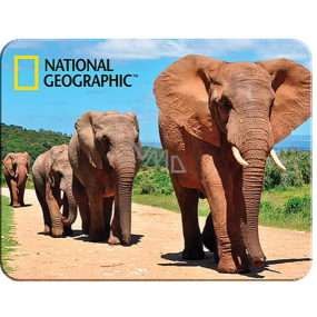Prime3D magnet - Africkí slony 9 x 7 cm