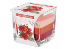 Emocio Hibiscus & White Sage - trojfarebná vonná sviečka s vôňou ibišteka a bielej šalvie, sklenený hranol 80 x 80 mm, doba horenia až 32 hodín