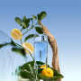 Kenzo L'Eau Kenzo Pour Homme toaletná voda 30 ml