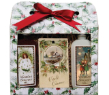 Bohemia Gifts Veselé Vianoce Vianočný sprchový gél 2 x 100 ml + karta s vôňou jablka a škorice 11 x 6,3 cm, kozmetická sada