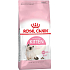 Royal Canin Kitten kompletné krmivo pre mačiatka od 4 do 12 mesiacov 400 g