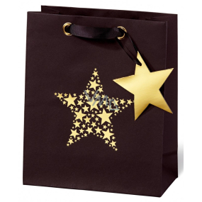 BSB Luxusná darčeková papierová taška 23 x 19 x 9 cm Vianočný Star Festival VDT 417 - A5