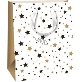 Ditipo Darčeková papierová taška 18 x 22,7 x 10 cm Glitre - čierne a zlaté hviezdy