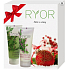 Ryor Bylinný šampón s panthenolom 200 ml + regeneračný kondicionér s panthenolom 200 ml, kozmetická sada