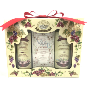 Bohemia Gifts Wine Spa Vínna kozmetika sprchový gél 100 ml + toaletná mydlo 100 g + šampón na vlasy 100 ml