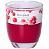 Bolsius Aromatic Wild Cranberry - Divoká Brusnica vonná sviečka v skle 70 x 80 mm 290 g, doba horenia 35 hodín