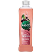 Radox Feel Detoxed zmes s minerálnym ílom, bylinkami a vôňou Acai Berry 500 ml