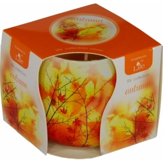 Essences of Life Jeseň aromatická sviečka v skle 100 g
