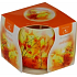 Essences of Life Jeseň aromatická sviečka v skle 100 g