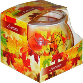 Admit Autumn - Jeseň dekoratívne aromatická sviečka v skle 80 g