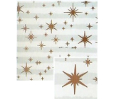 Nekupto Vianočný baliaci papier na darčeky 70 x 200 cm Biele a svetlomodré pruhy, medené hviezdy