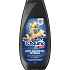 Schauma Men Anti-Dandruff šampón proti lupinám pre mužov 250 ml