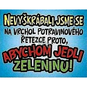 Nekupto Darčeky s humorom Magnet ledničkový Nevyškrábali sme sa 9 x 6,5 cm