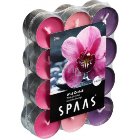 Spaas Tri Wild Orchid - Divoká orchidea vonné čajové sviečky 24 kusov