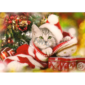 Nekupto Pohľadnica vianočné Koťátko 15 x 11 cm