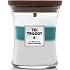 WoodWick Trilogy Icy Woodland - Ľadový les vonná sviečka s dreveným knôtom a skleneným viečkom stredná 275 g