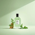 David Beckham Aromatic Greens parfumovaná voda pre mužov 100 ml