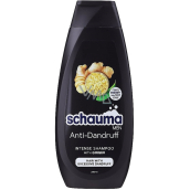 Schauma Men Anti-Dandruff šampón proti lupinám pre mužov 250 ml