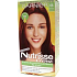Garnier Nutrisse Créme farba na vlasy odtieň 66 Grenadina