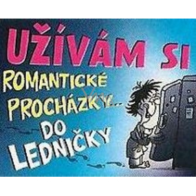 Nekupto Darčeky s humorom Magnet ledničkový Užívam si romantické 9 x 6,5 cm