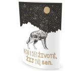 Nekupto Svietiace lampáš nesníva o svojom živote... 13,7 x 20 x 5 cm