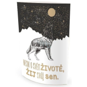 Nekupto Svietiace lampáš nesníva o svojom živote... 13,7 x 20 x 5 cm