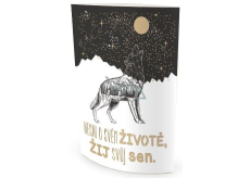 Nekupto Svietiace lampáš nesníva o svojom živote... 13,7 x 20 x 5 cm