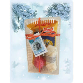 Canis Prosper Vianočný darček plastový box s hračkou pre psov 1
