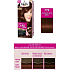Palette Perfect Color Care farba na vlasy 770 Čokoládovo červený