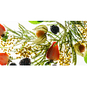 Millefiori Milano Natural Berry Delight - Ovocné potešenie Delight Náplň difuzéra pre vonná steblá 250 ml