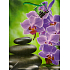 Nekupto Darčeková papierová taška 23 x 18 x 10 cm Orchidea 1020 50 KFL