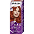 Schwarzkopf Palette Intensive Color Creme, farba na vlasy, RV6 šarlátovo červená, 50 ml