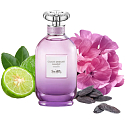 Coach Dreams Moonlight parfumovaná voda pre ženy 60 ml