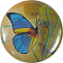 Zrkadielko Butterfly guľaté 1 kus 60110